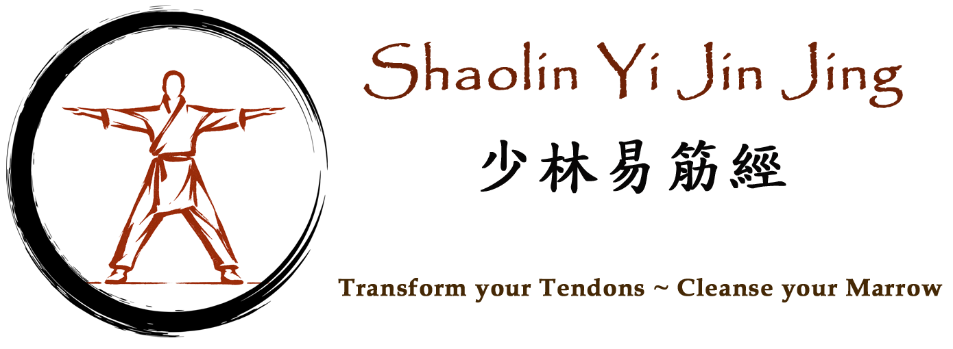 Shaolin Yi Jin Jing logo